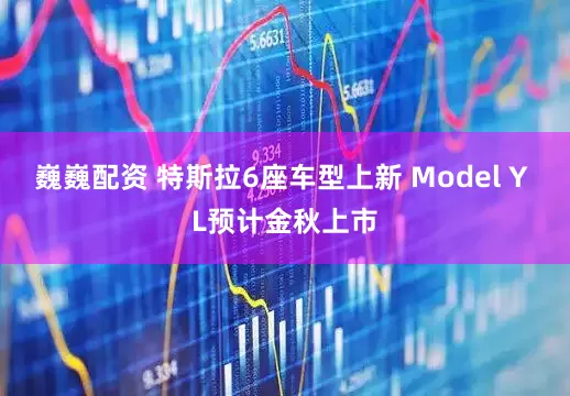巍巍配资 特斯拉6座车型上新 Model Y L预计金秋上市