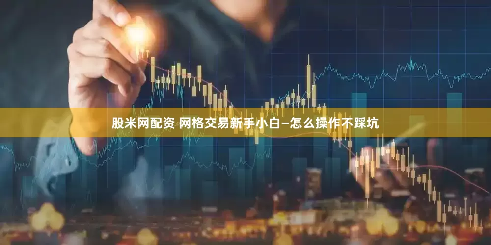 股米网配资 网格交易新手小白—怎么操作不踩坑