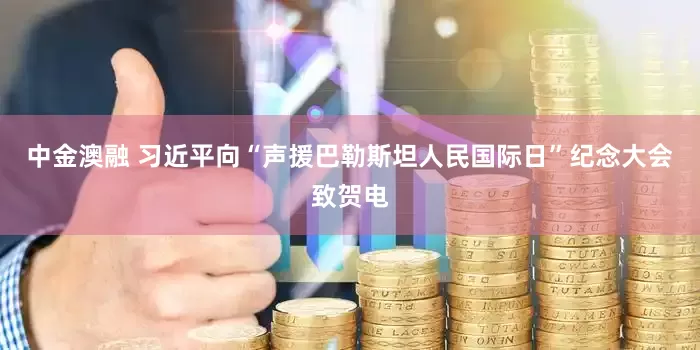 中金澳融 习近平向“声援巴勒斯坦人民国际日”纪念大会致贺电