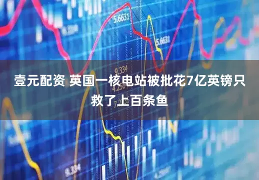 壹元配资 英国一核电站被批花7亿英镑只救了上百条鱼