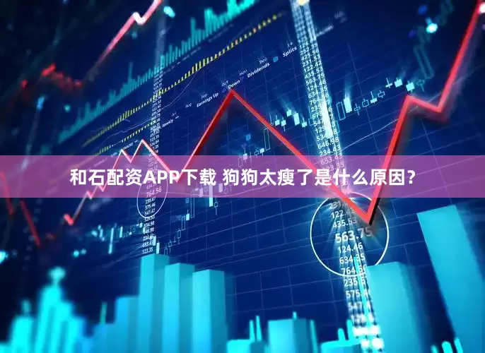和石配资APP下载 狗狗太瘦了是什么原因？